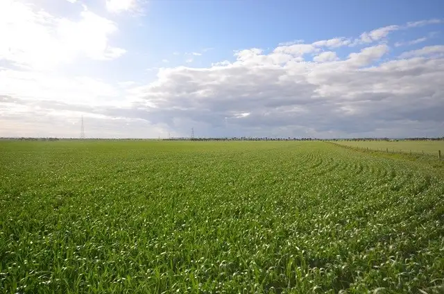 Fifth view of Homely rural property listing, "Welkes" Lakeview Road, Brinkworth SA 5464