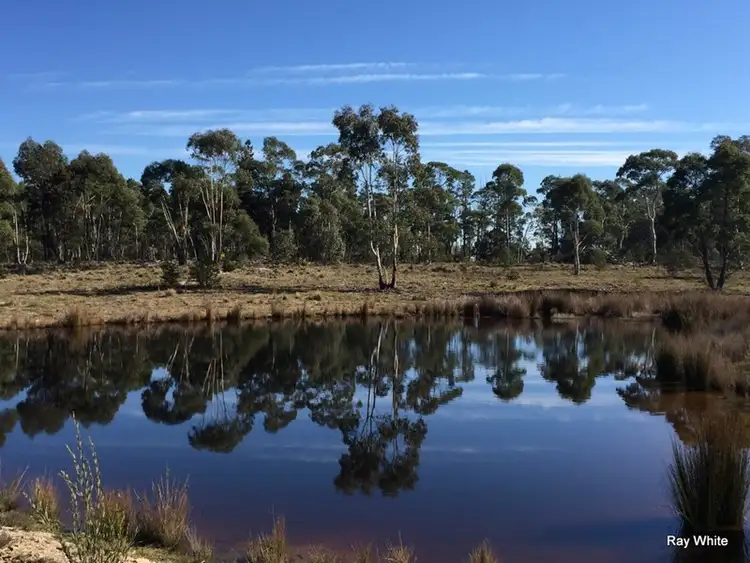 Main view of Homely rural property listing, 779 Back Creek, Braidwood NSW 2622