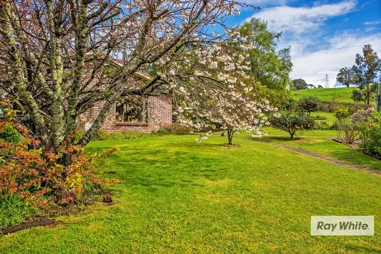 65 Tippetts Lane, Mount Hicks TAS 7325