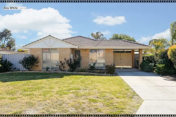 13 Salmon Gum Grove, Beechboro WA 6063