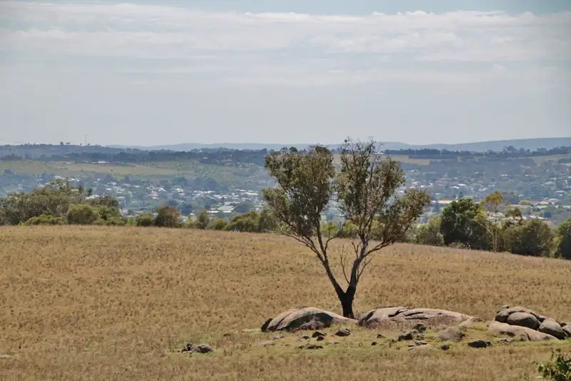 Main view of Homely land listing, 405 (Lot 3) Spring Creek Road, Young NSW 2594