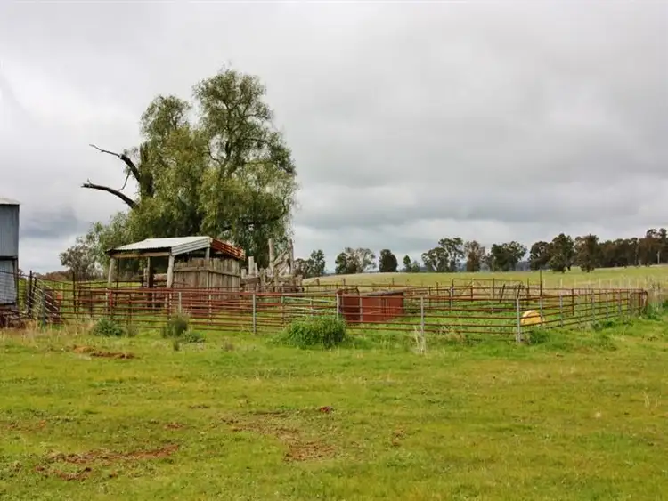 Fourth view of Homely rural property listing, 1010 Dinga Dingi Road, Stockinbingal NSW 2725