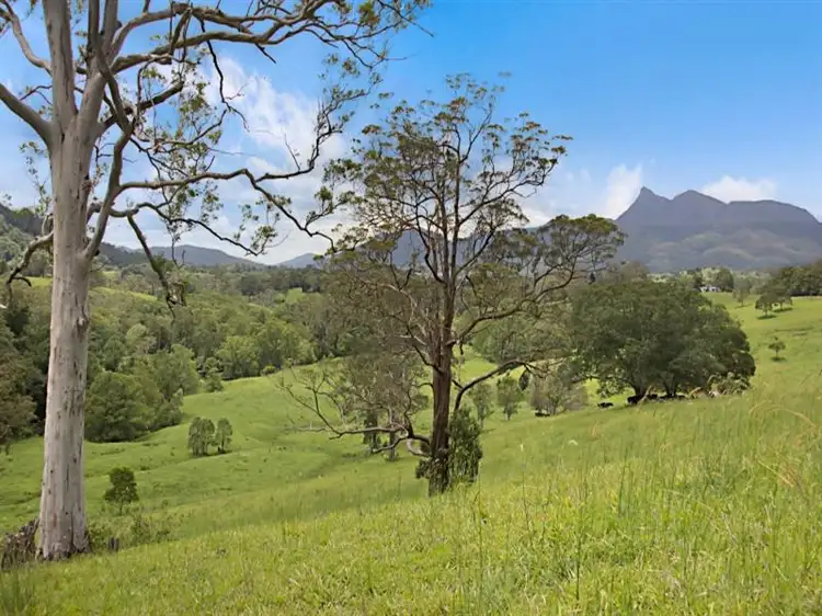 Lot 42 Stoddarts Road, Tyalgum NSW 2484