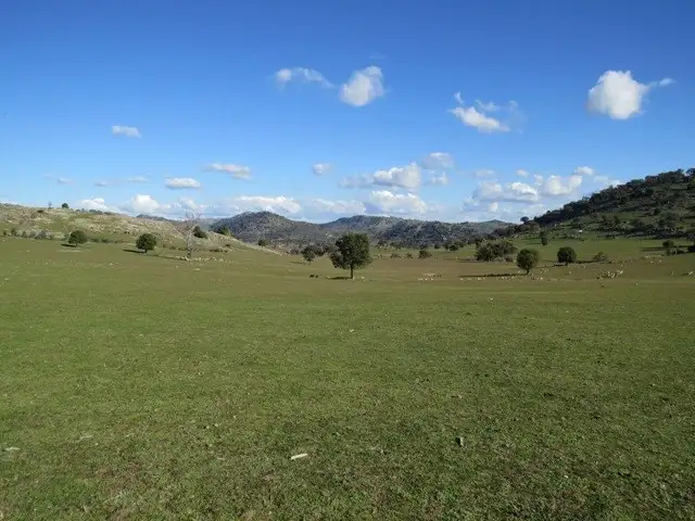 Seventh view of Homely rural property listing, 185 Trout Farm Road, Wyangala NSW 2808