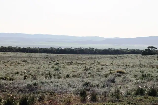 Fourth view of Homely rural property listing, 253 Hundred of Playford, Cowell SA 5602