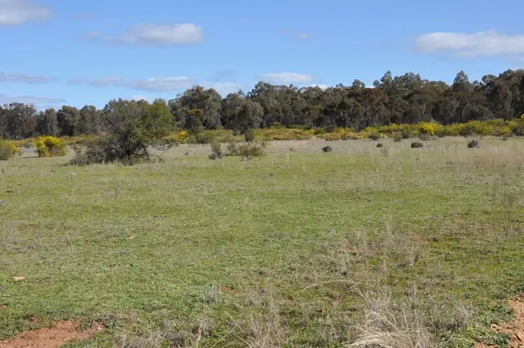 Fifth view of Homely rural property listing, 511 Gap Road, Pullabooka NSW 2810