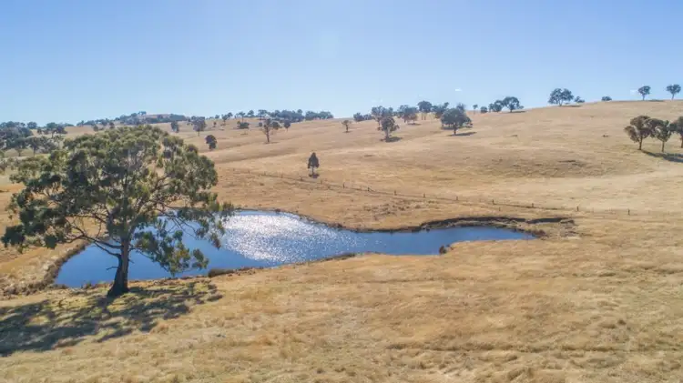 Fourth view of Homely rural property listing, Bellbrook 885 Warrane Road, Armidale NSW 2350