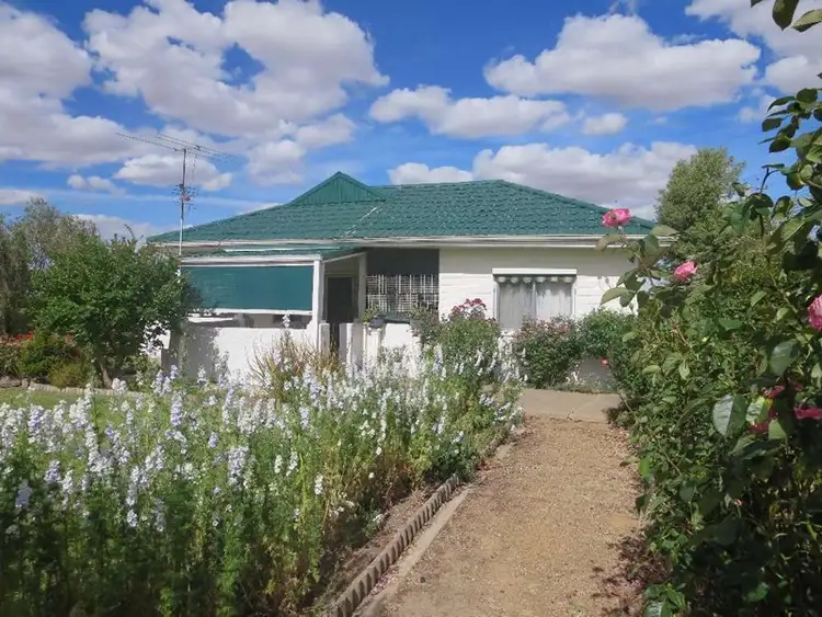 66 Munro Street, Culcairn NSW 2660