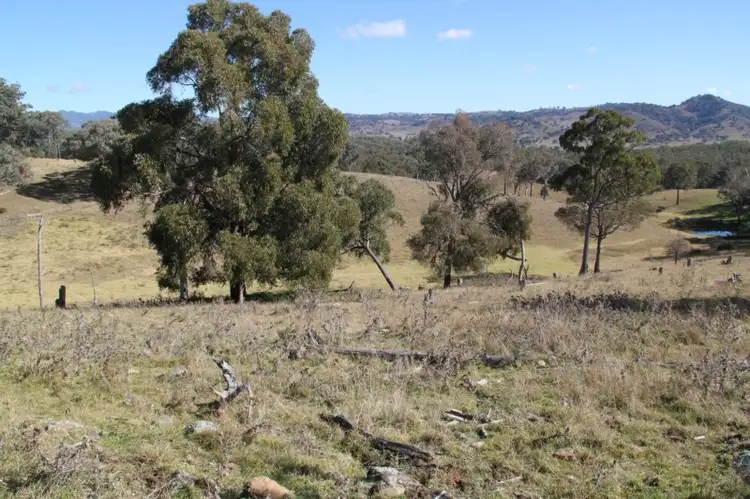 Fifth view of Homely land listing, Lot 352 Splitters Gully Road, Nundle NSW 2340