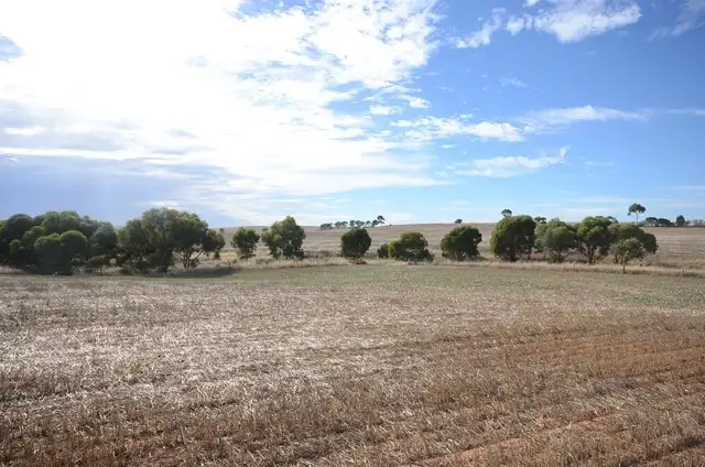 Second view of Homely rural property listing, Lot 446 Carmody Road, Leighton SA 5417