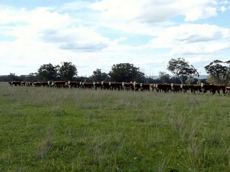 Main view of Homely rural property listing, 0 Strathbogie Road, Glen Innes NSW 2370