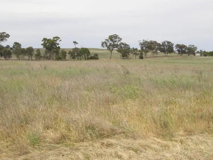 Seventh view of Homely rural property listing, 821 Scenic Drive, Manildra NSW 2865