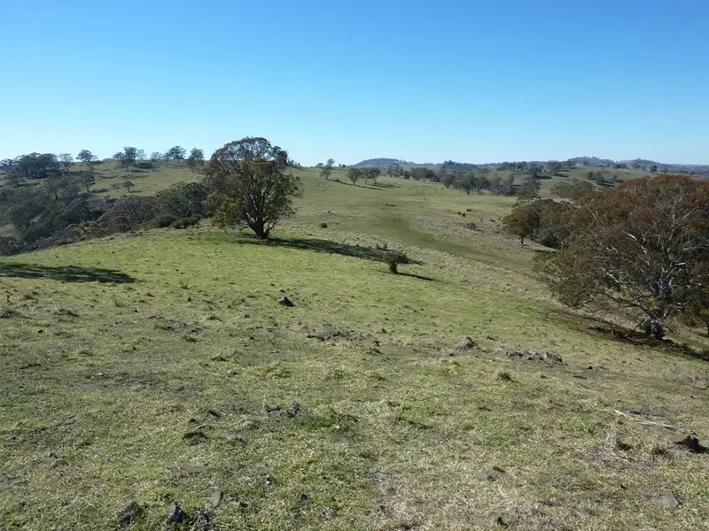 Main view of Homely rural property listing, 504 'Mt Emby' Moredun Road, Ben Lomond NSW 2365