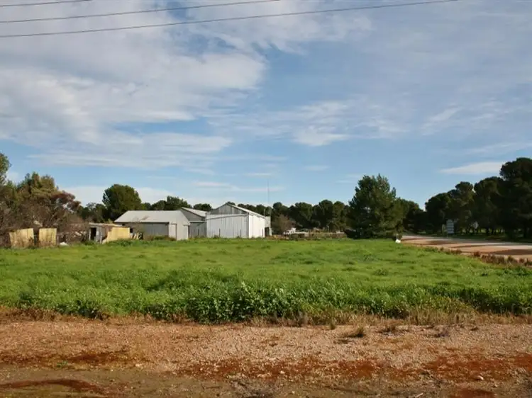 Main view of Homely land listing, 22 South East Terrace, Snowtown SA 5520