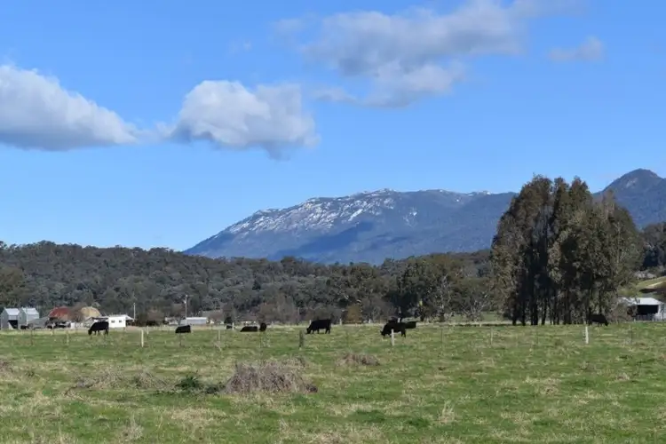 Main view of Homely land listing, 79 Clemens Lane, Myrtleford VIC 3737