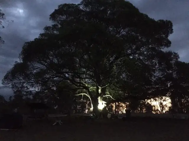 Fifth view of Homely rural property listing, 2846 Gatton Esk Road, Mount Hallen QLD 4312