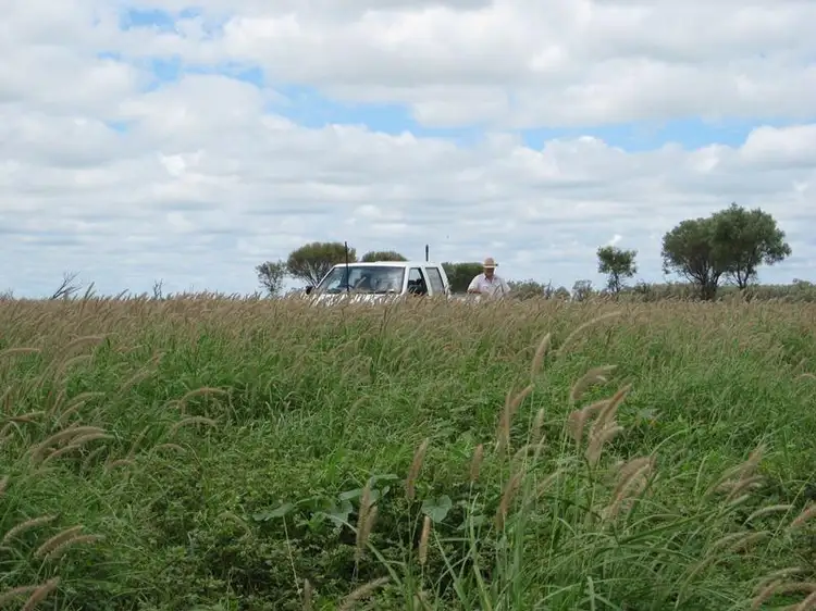 Main view of Homely rural property listing, Address available on request