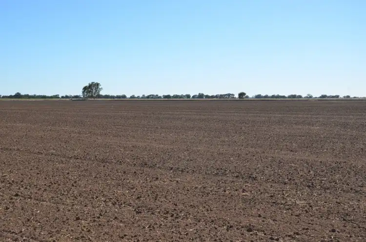 Sixth view of Homely rural property listing, 670 Willawa Lane, Finley NSW 2713