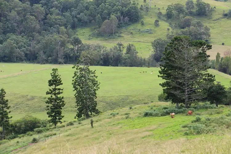 Main view of Homely rural property listing, 2007 Running Creek Road, Running Creek QLD 4287
