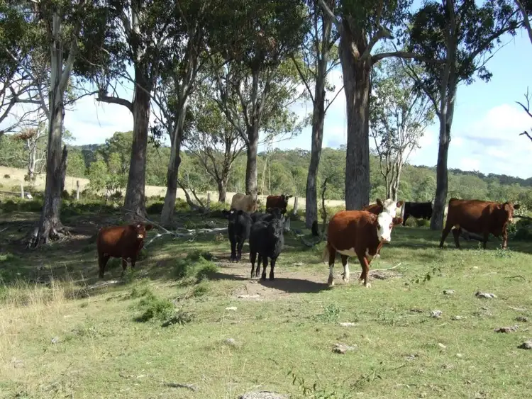 Fourth view of Homely rural property listing, L40 Rocky Gully Road, Crows Nest QLD 4355