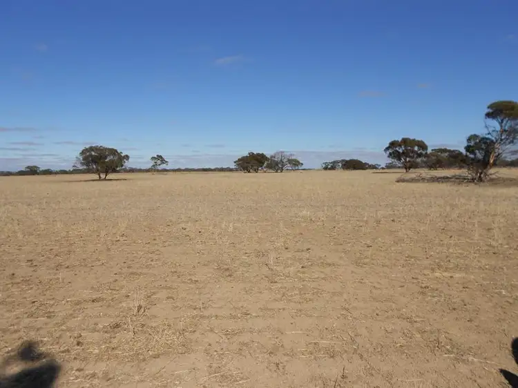 Third view of Homely rural property listing, 966 Pine Hill Road, Bordertown SA 5268