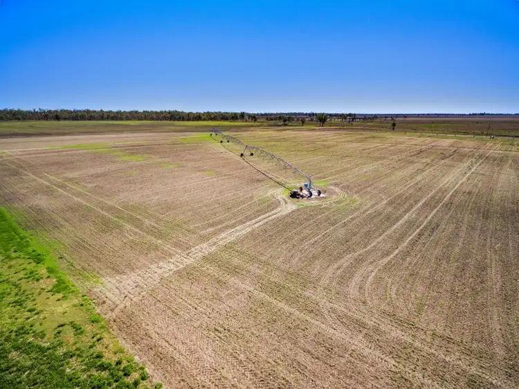 Fifth view of Homely rural property listing, 1259 Old Warrego Highway, Dalby QLD 4405