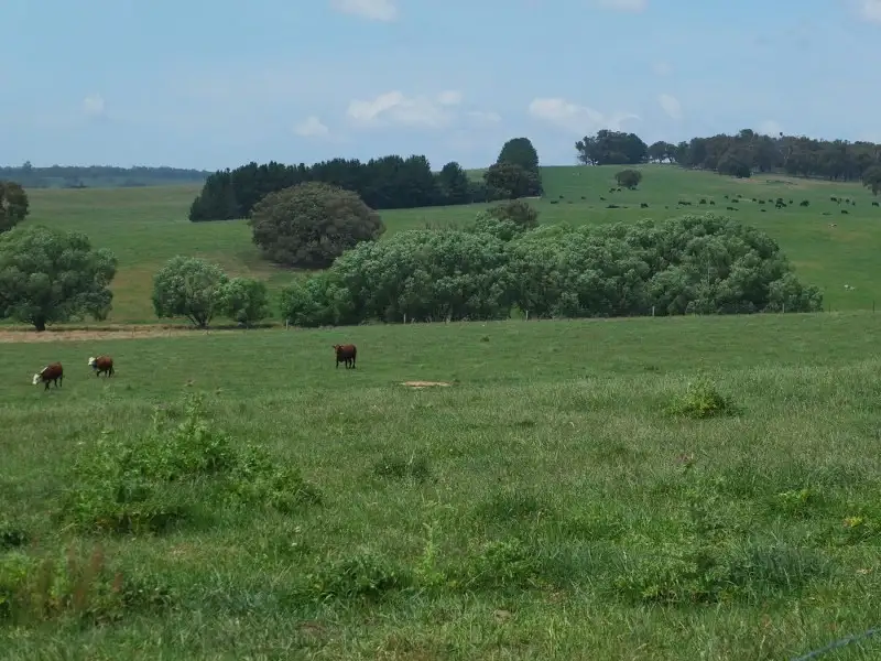 Main view of Homely rural property listing, 1233 Triangle Flat Road, Bathurst NSW 2795