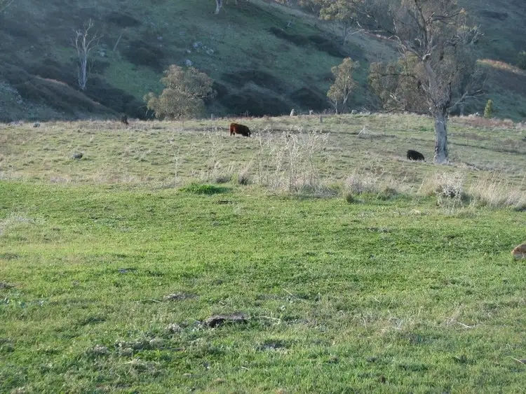 Third view of Homely rural property listing, Lot 47 Yarrawarrah Road, Canowindra NSW 2804