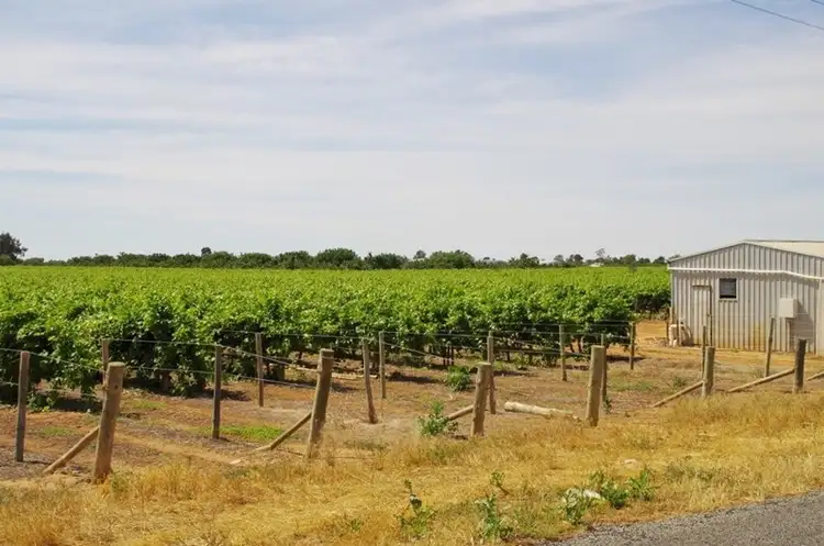 Third view of Homely rural property listing, 452 Chowilla Street, Renmark SA 5341