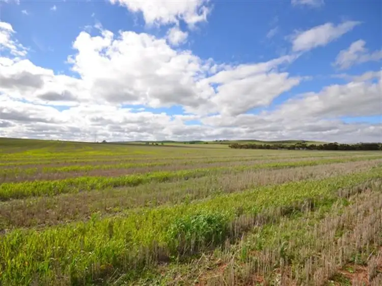 Fourth view of Homely rural property listing, "Glendale" 3 Lots, Burra SA 5417