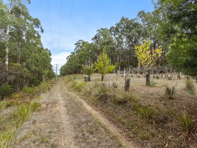 Sixth view of Homely land listing, 2040 Birregurra Forrest Road, Barwon Downs VIC 3243