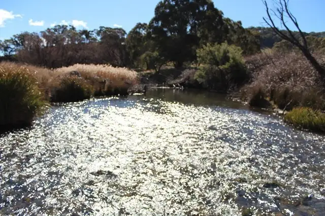 Second view of Homely rural property listing, 499 Cuthill Road, Oberon NSW 2787