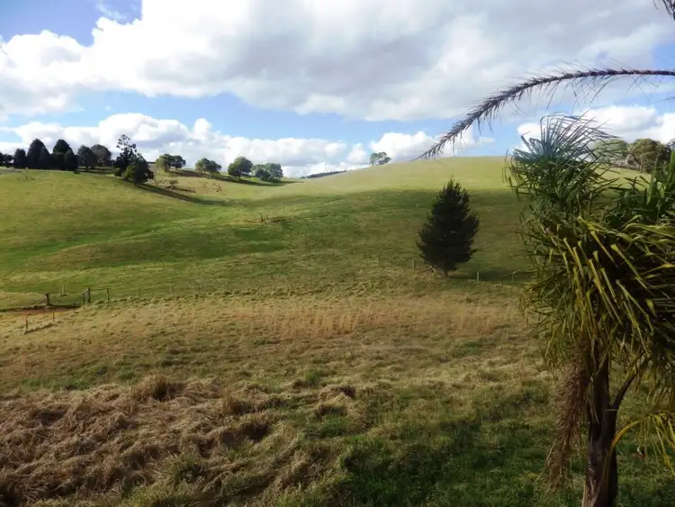 Seventh view of Homely rural property listing, 437 Slingsby's Road, Dorrigo NSW 2453
