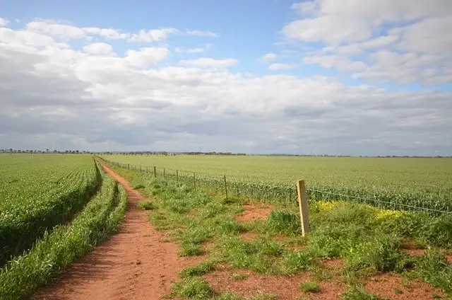 Sixth view of Homely rural property listing, "Welkes" Lakeview Road, Brinkworth SA 5464