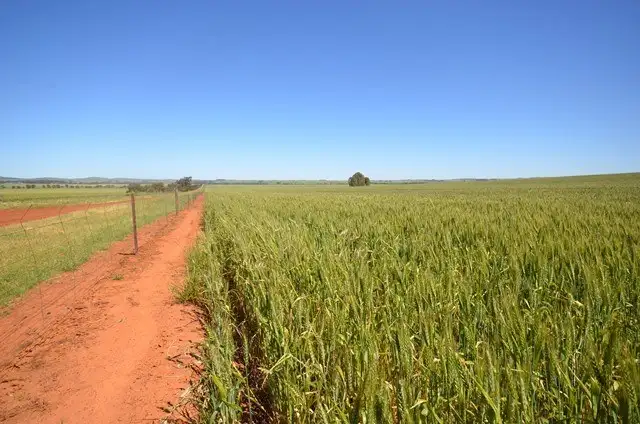 Third view of Homely rural property listing, Lots 21-25, 94 Sod Hut Road, Farrell Flat SA 5416