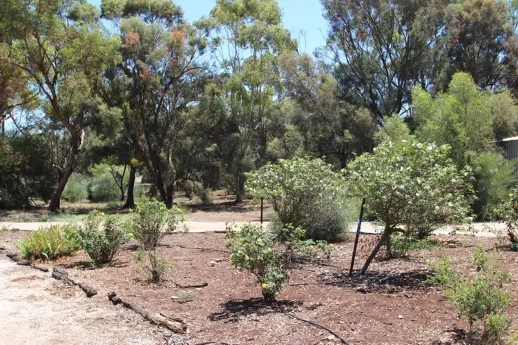 Third view of Homely house listing, 35 Ayers Street, Burra SA 5417