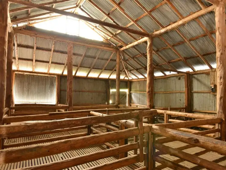 Seventh view of Homely rural property listing, RINGWOOD Napier Lane, Coonabarabran NSW 2357