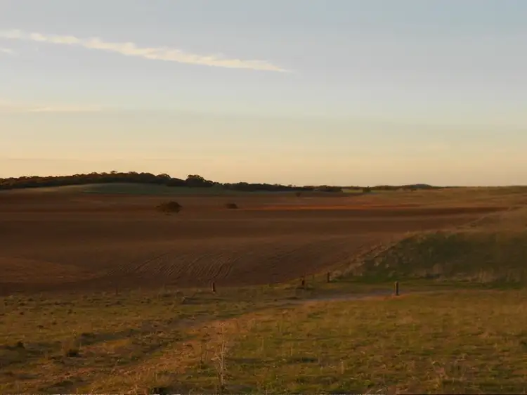 Fourth view of Homely rural property listing, 101 Mayr Road, Lameroo SA 5302