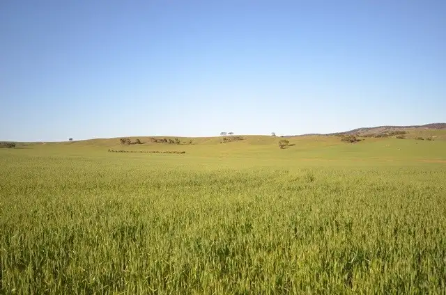 Third view of Homely rural property listing, "Rex's" Worlds End Highway via, Robertstown SA 5381