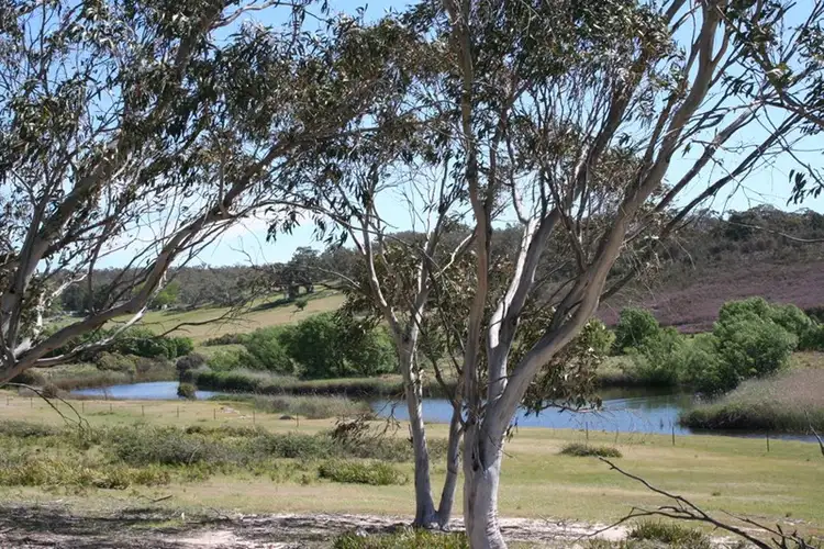 Lot 5 Stewarts Crossing Road, Braidwood NSW 2622