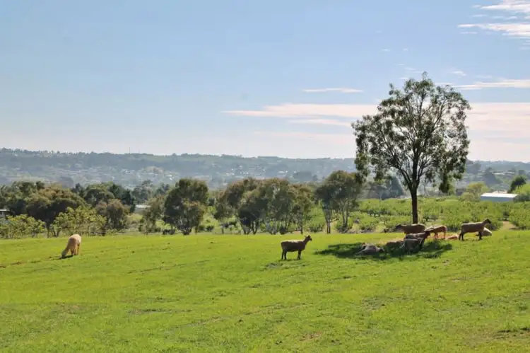 48 Curtis Place, Young NSW 2594