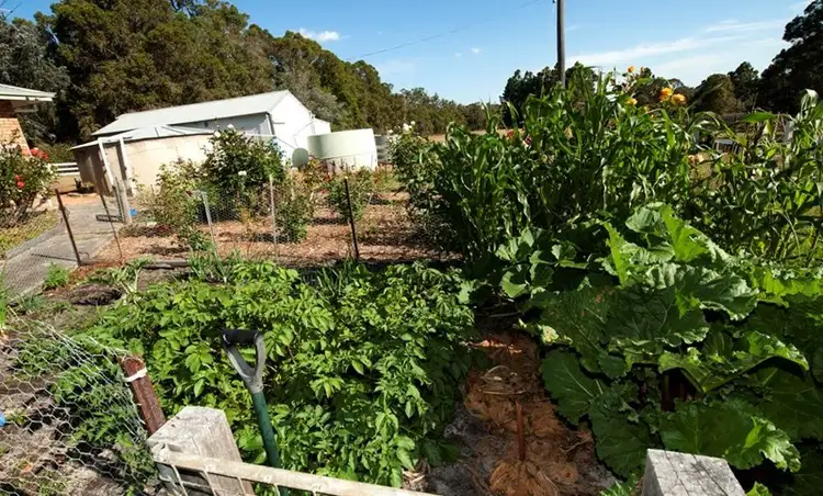 Sixth view of Homely rural property listing, Lot 4036 Vasse Highway, Nannup WA 6275