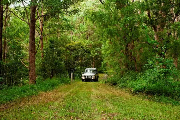 Third view of Homely rural property listing, 31 Hinchinbrook Road, Burringbar NSW 2483