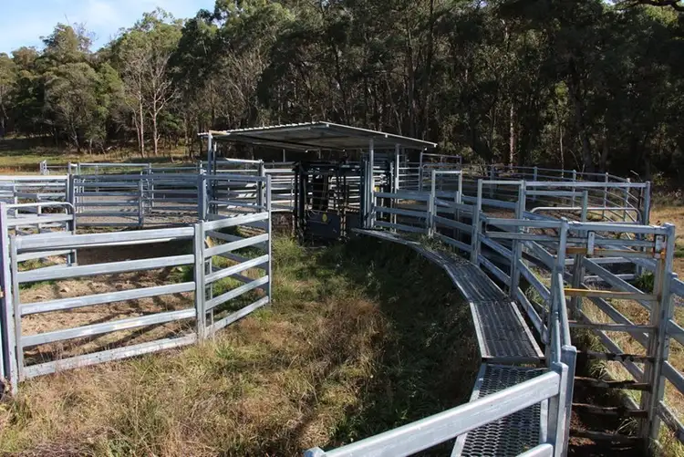 Third view of Homely rural property listing, Mossgrove 59 Tanners Road, Wollomombi NSW 2350