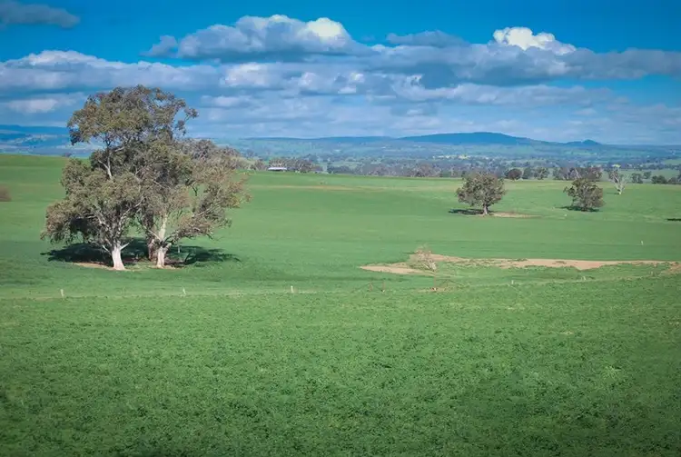 Third view of Homely rural property listing, 4435 The Escort Way, Cudal NSW 2864