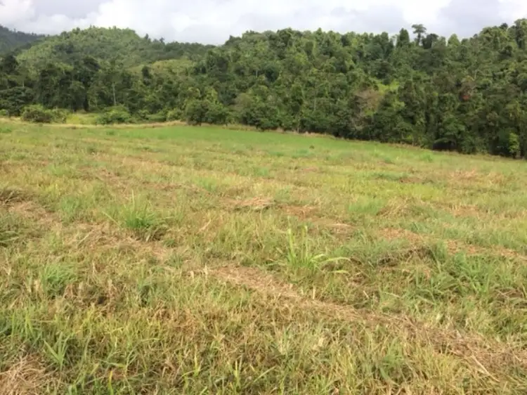 Second view of Homely land listing, Lot 1 PALMERSTON Highway, Coorumba QLD 4860