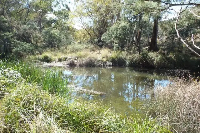 Second view of Homely rural property listing, 209 Soliders Hill Road, Wisemans Creek NSW 2795
