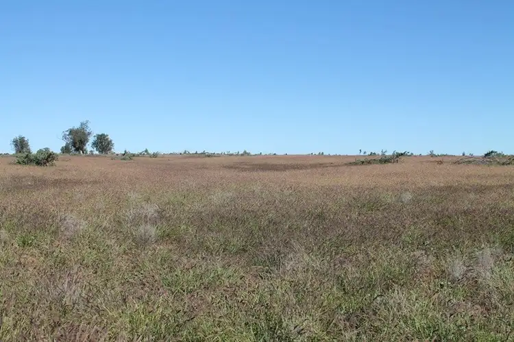 Seventh view of Homely rural property listing, 24265 Moonie Highway, St George QLD 4487