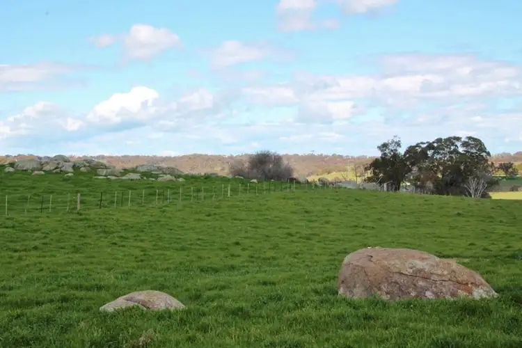Seventh view of Homely land listing, 605 Spring Creek Road, Young NSW 2594