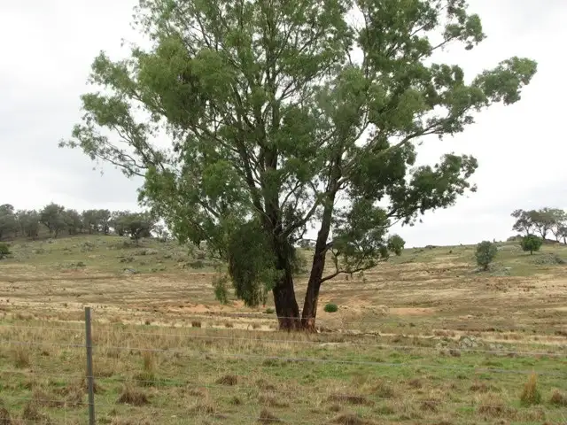 Third view of Homely rural property listing, Address available on request